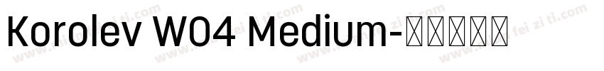 Korolev W04 Medium字体转换